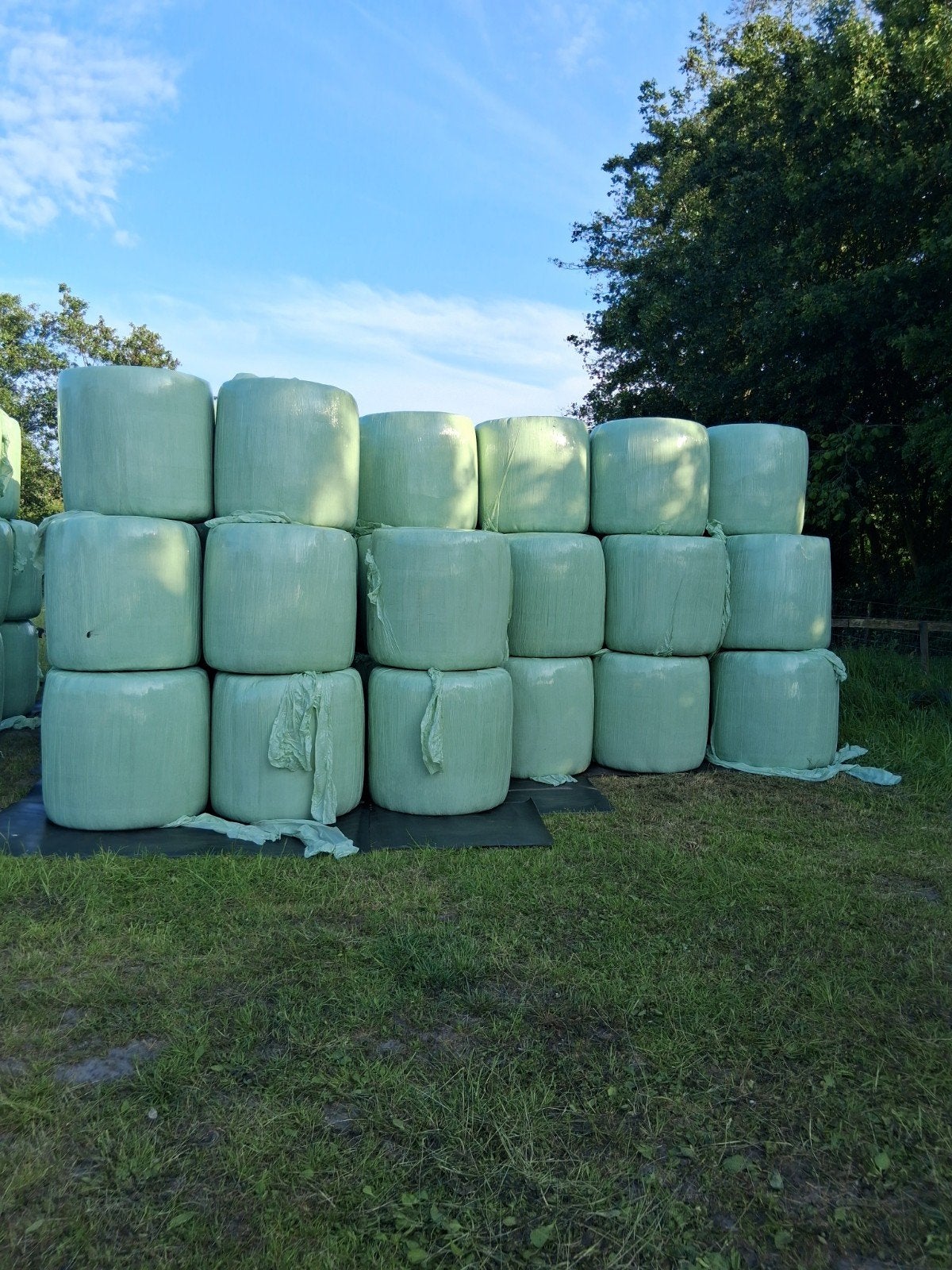 Midibalen paarden hooi, Dieren en Toebehoren, Ophalen, Vee