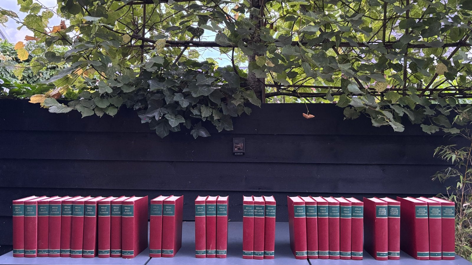 Complete serie Sesam Encyclopedie - Diverse onderwerpen, Boeken, Encyclopedieën, Ophalen, Gelezen, Algemeen, Complete serie