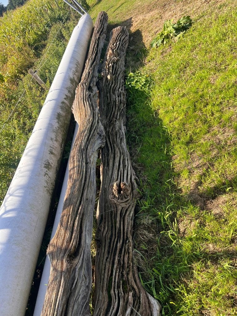 2 lange en oude boomstammen, Ophalen, Gebruikt