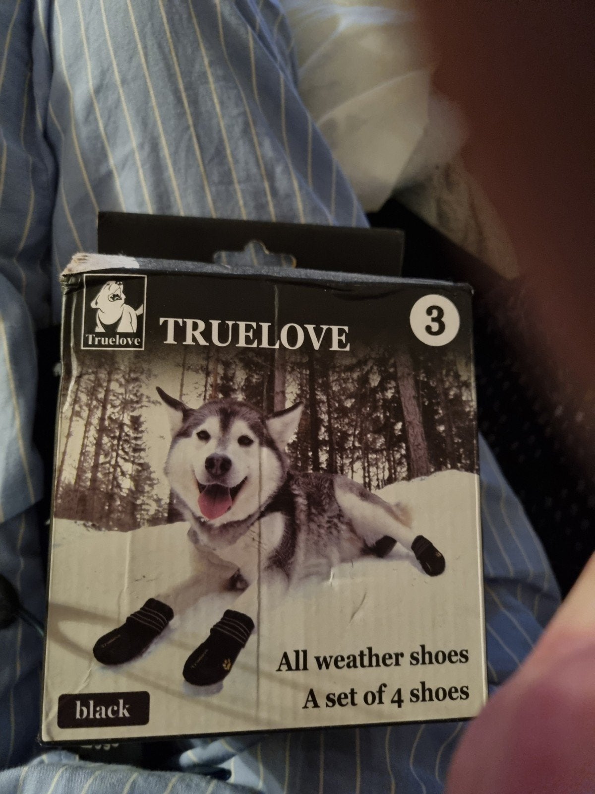 hondenschoenen, Dieren en Toebehoren, Honden-accessoires, Ophalen of Verzenden, Nieuw