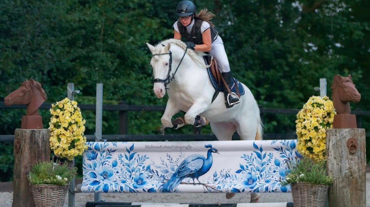 Droompony tinker ruin, Dieren en Toebehoren, Pony's, Ruin, 3 tot 6 jaar
