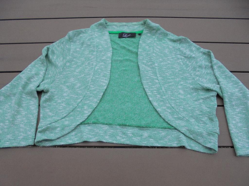 Groene bolero LICENTO, Kleding | Dames, Maat 46/48 (XL) of groter, Ophalen of Verzenden, Licento, Gedragen