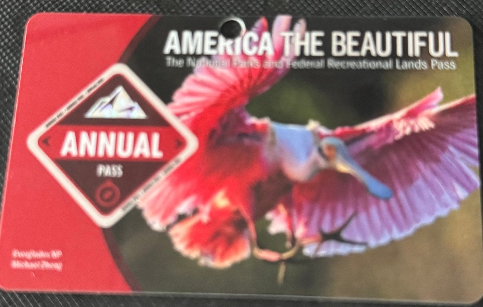 Anual pass, Tickets en Kaartjes, Kortingen en Cadeaubonnen