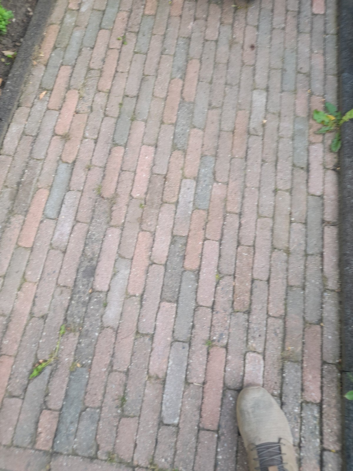 Waaltjes  gratis, Ophalen, Beton, Klinkers