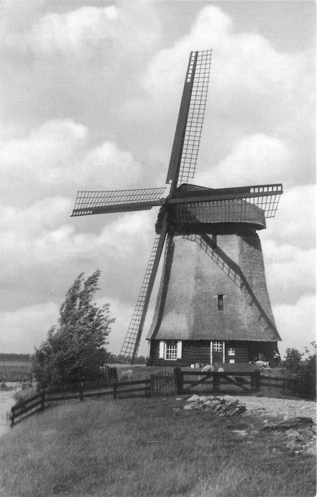 304-246-051 Oterleek Schermeer-Afd. E Molen, Verzamelen, Verzenden, Voor 1920, Noord-Holland