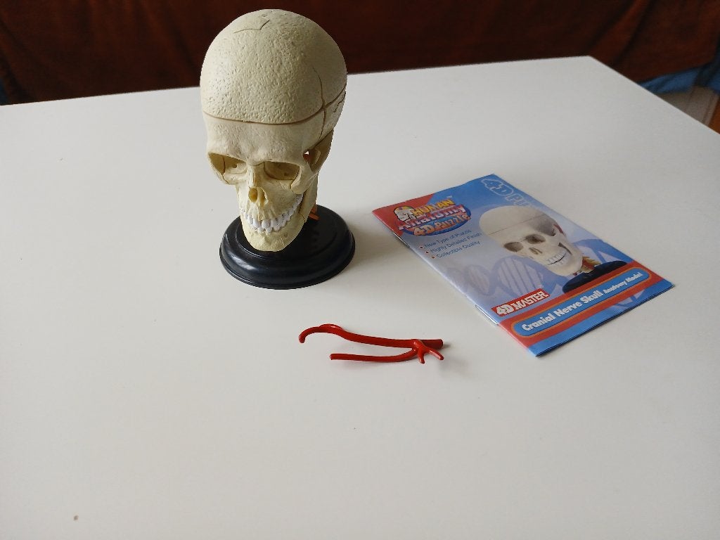 Human Anatomy 4D puzzle, Ophalen of Verzenden, Minder dan 500 stukjes, Gebruikt, Rubik's of 3D-puzzel
