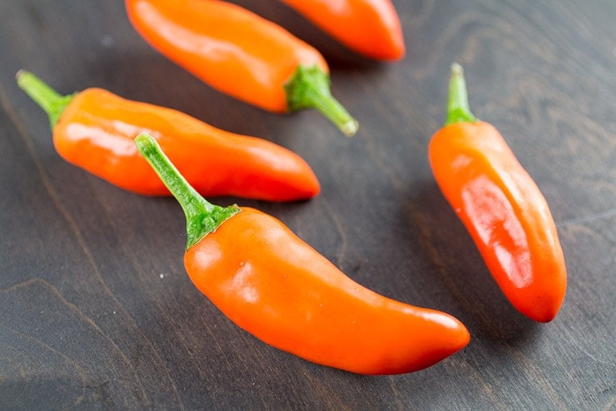 Tangerine Dream peper zaad, Verzenden, Voorjaar, Volle zon, Zaad
