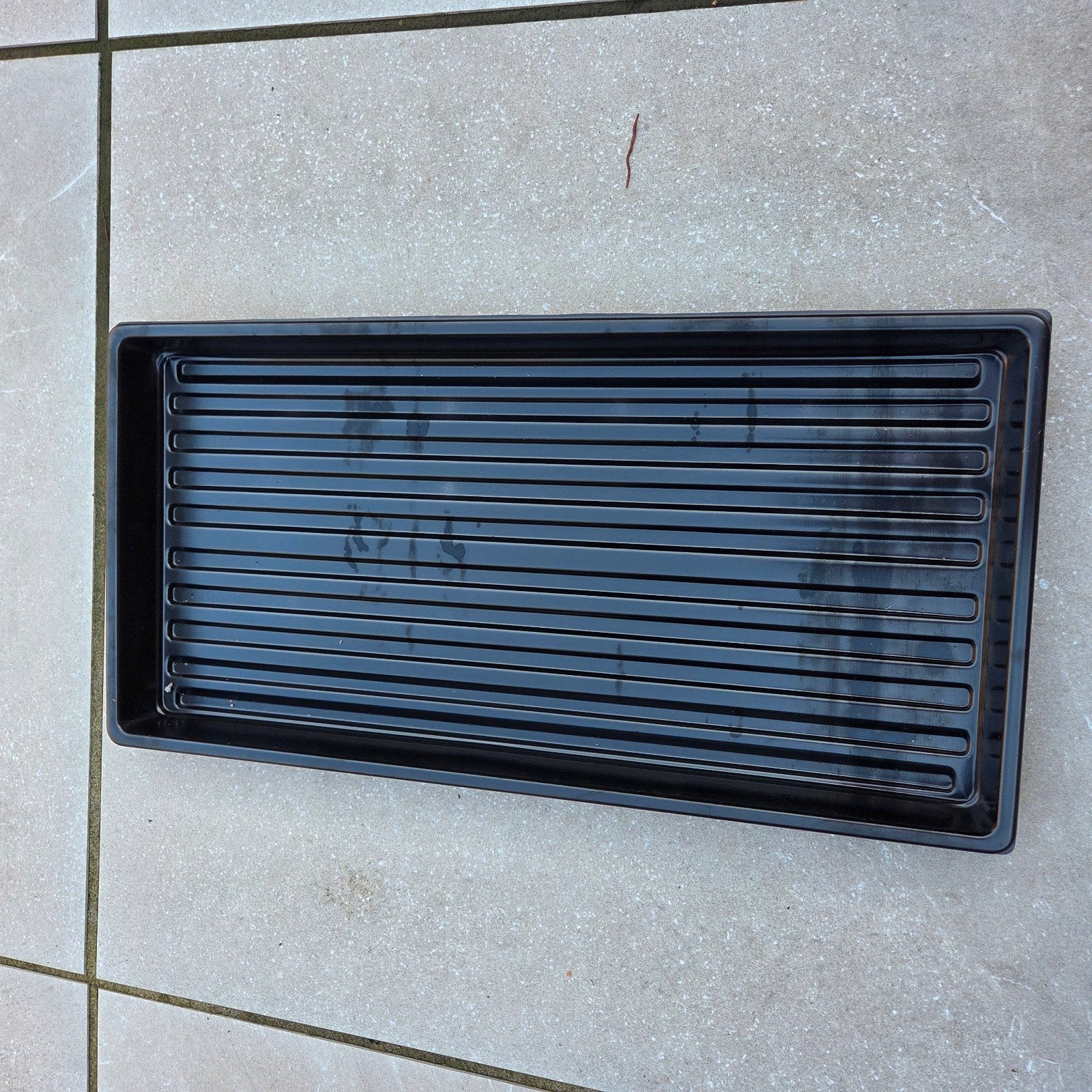 Kweektrays / Zaaitrays Set – Ca. 50 x 28 cm 20 sets, Tuin en Terras, Ophalen of Verzenden, Nieuw, Kweekbak