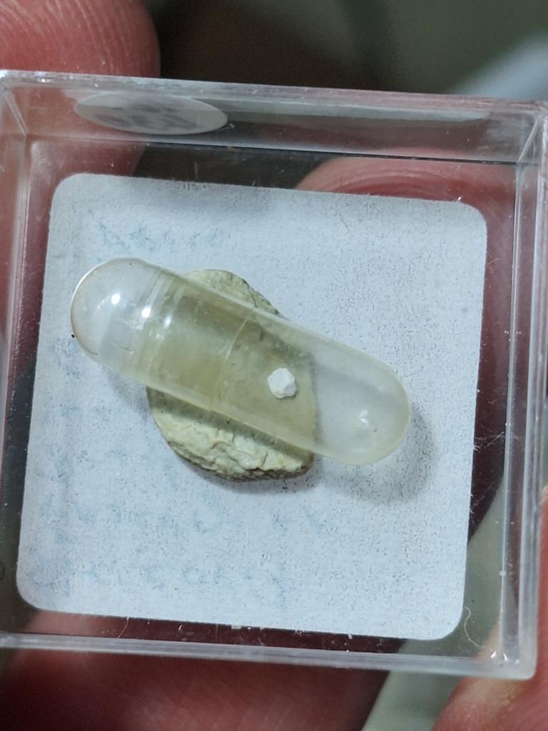 STERCORIET, PERU, Ophalen of Verzenden, Mineraal