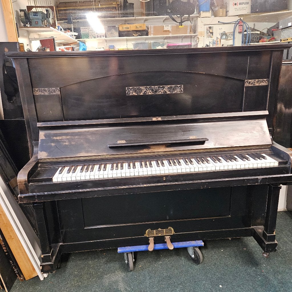 Carl Ecke piano