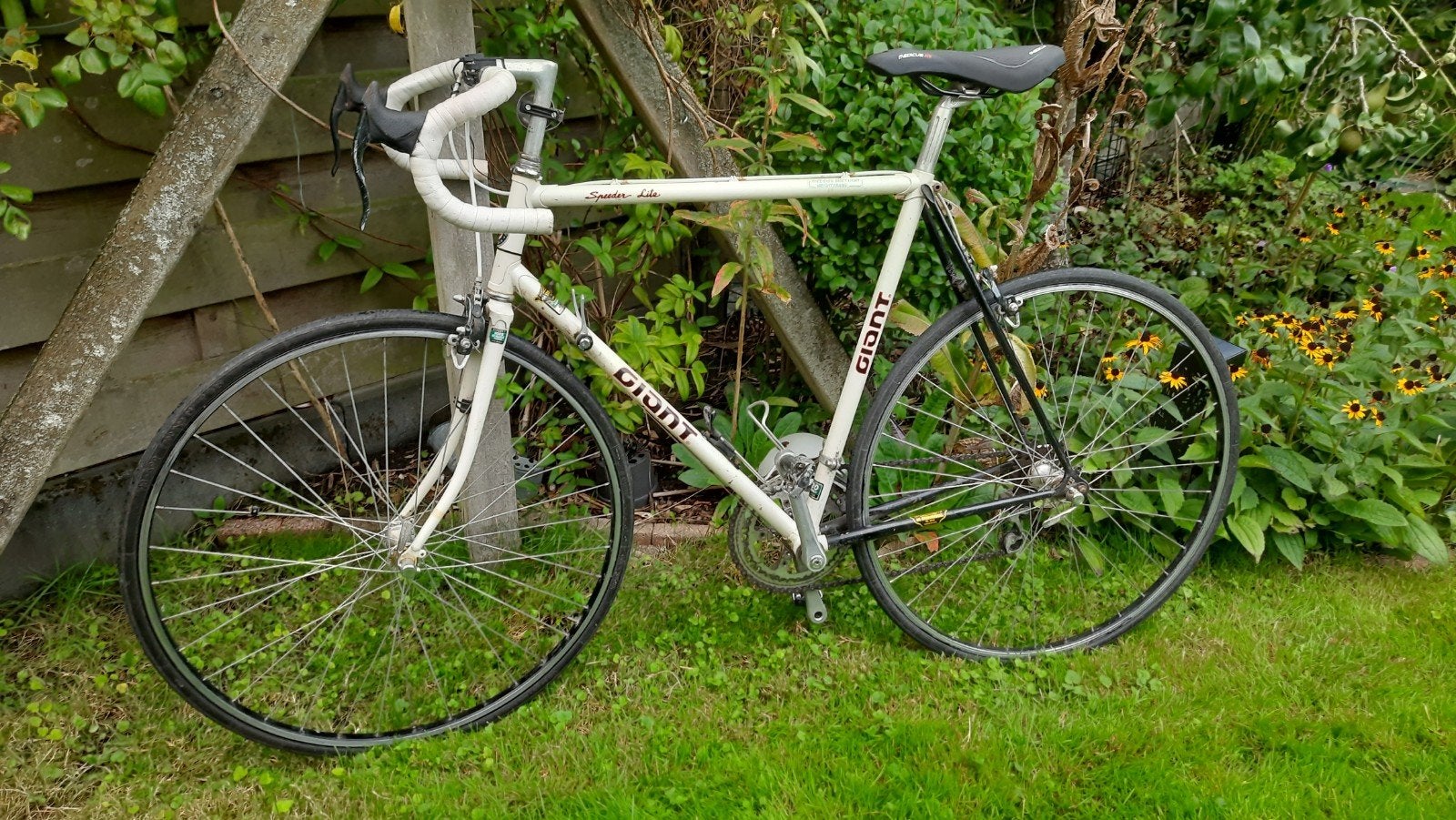 Giant speeder lite, Klassieker!!!, Ophalen, 28 inch, Gebruikt, 10 tot 15 versnellingen