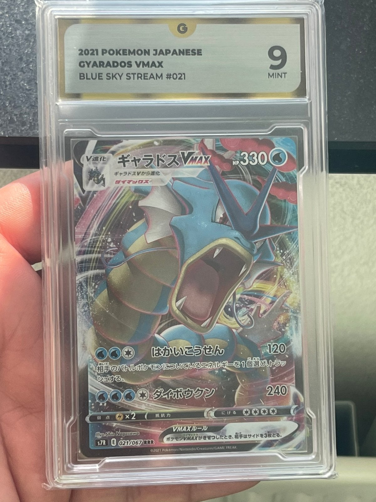 Gyarados  in hardcase japan orgineel zeldzaam, Ophalen of Verzenden, Zo goed als nieuw