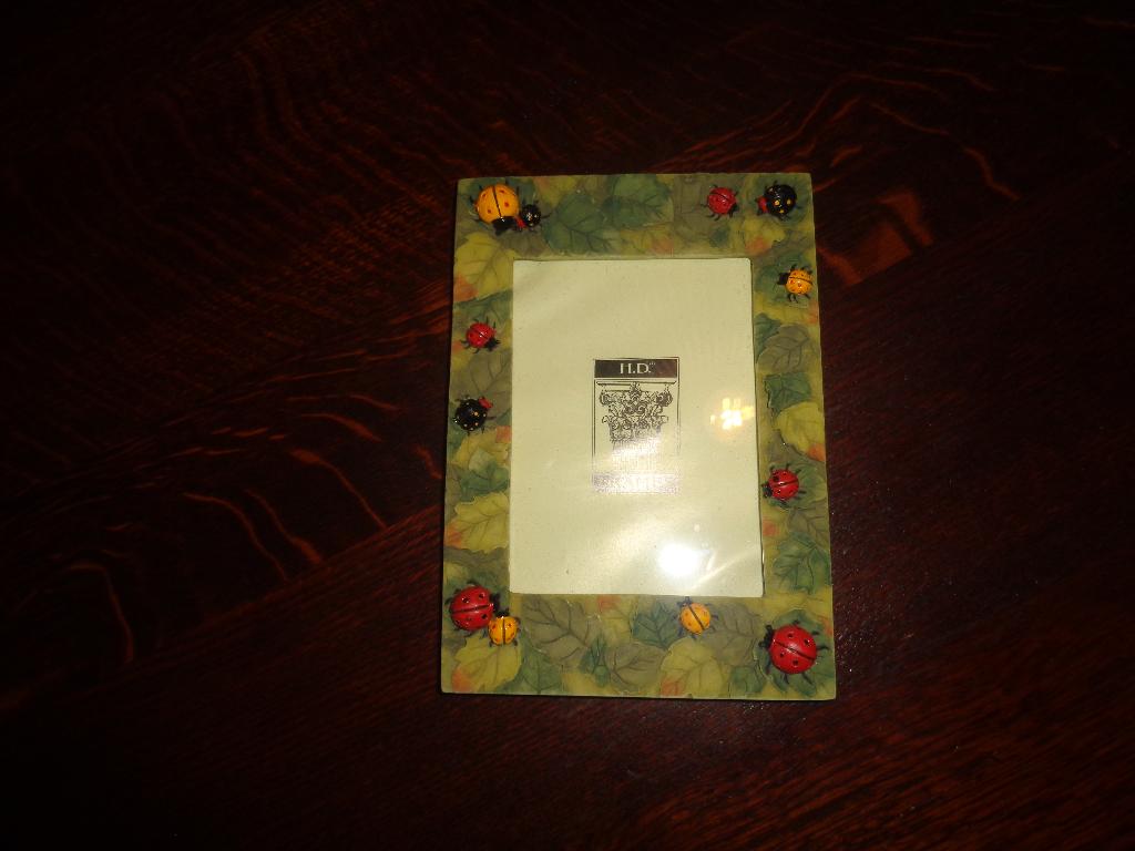H.D. Frames groen fotolijstje met lieveheersbeestjes, Ophalen of Verzenden, Zo goed als nieuw