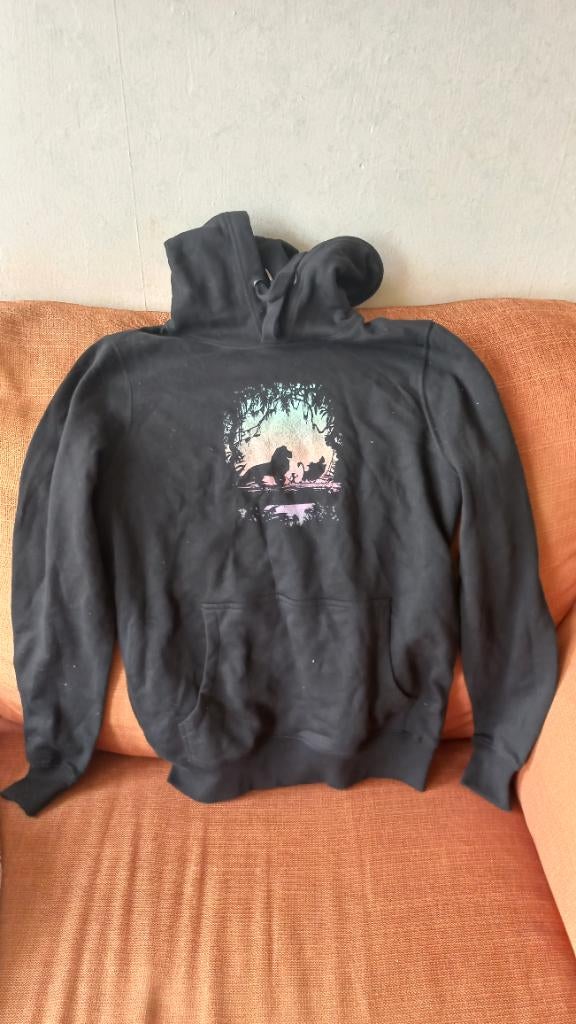 Trui Lion King Simba Timon Pumbaa Hakuna Matata, Ophalen of Verzenden, Leeuwenkoning of Jungle Boek, Zo goed als nieuw, Kleding of Textiel