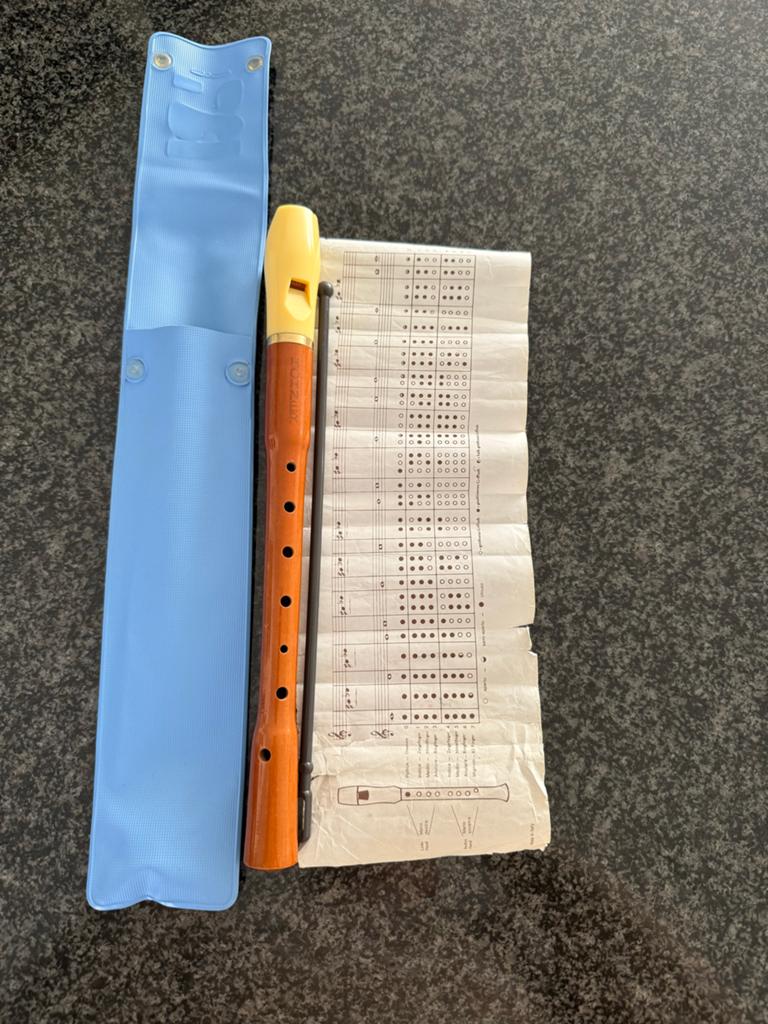 Hohner Studio Blokfluit met hoes en bladmuziek, Ophalen, Zo goed als nieuw, Sopraan of Sopranino, Kunststof