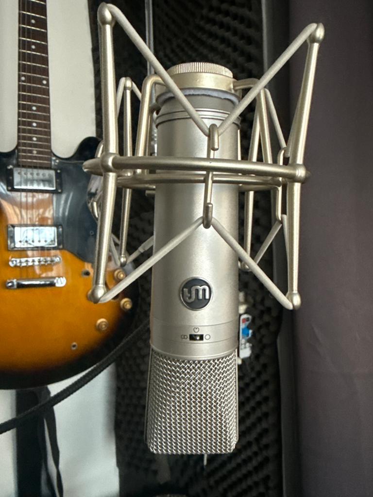Warm Audio WA-87 Condensator Microfoon, Muziek en Instrumenten, Microfoons, Ophalen of Verzenden, Zo goed als nieuw, Studiomicrofoon
