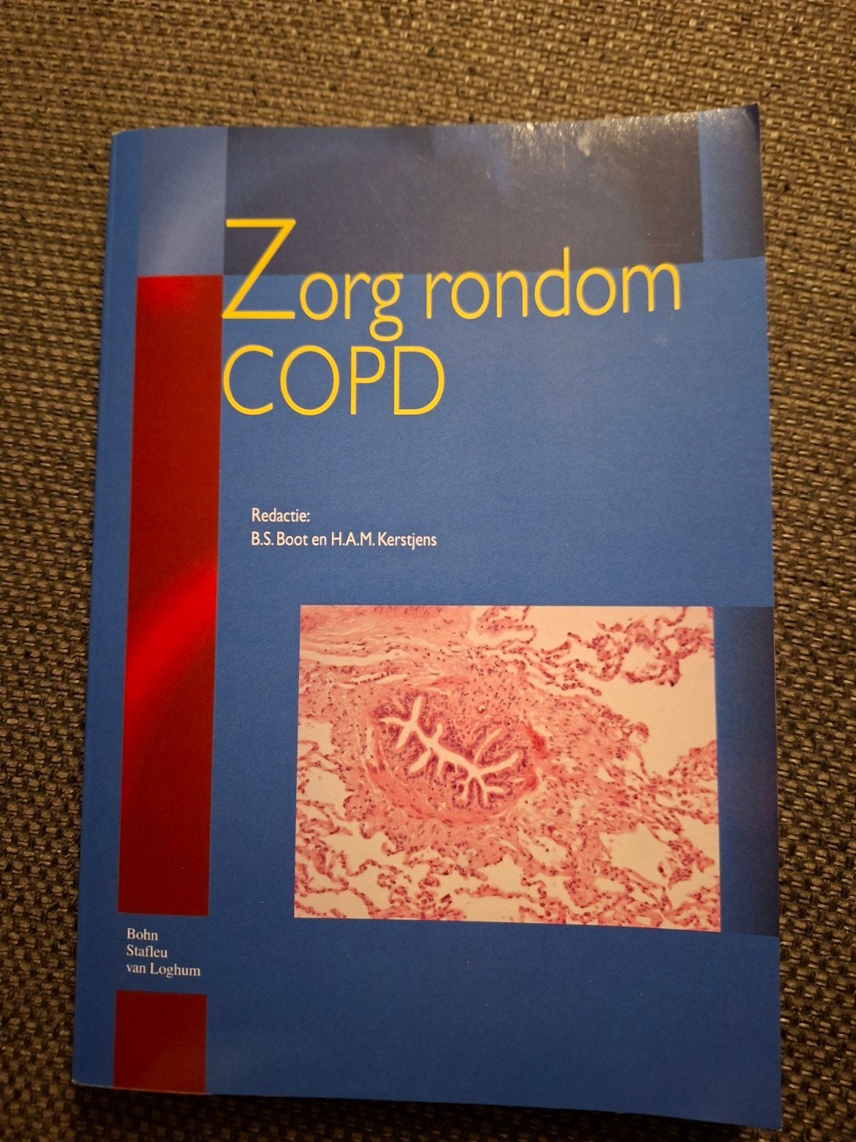 Zorg rondom COPD - B.S. Boot en H.A.M. Kerstjens, B.S. Boot en H.A.M. Kerstjens, Zo goed als nieuw, Beta, HBO