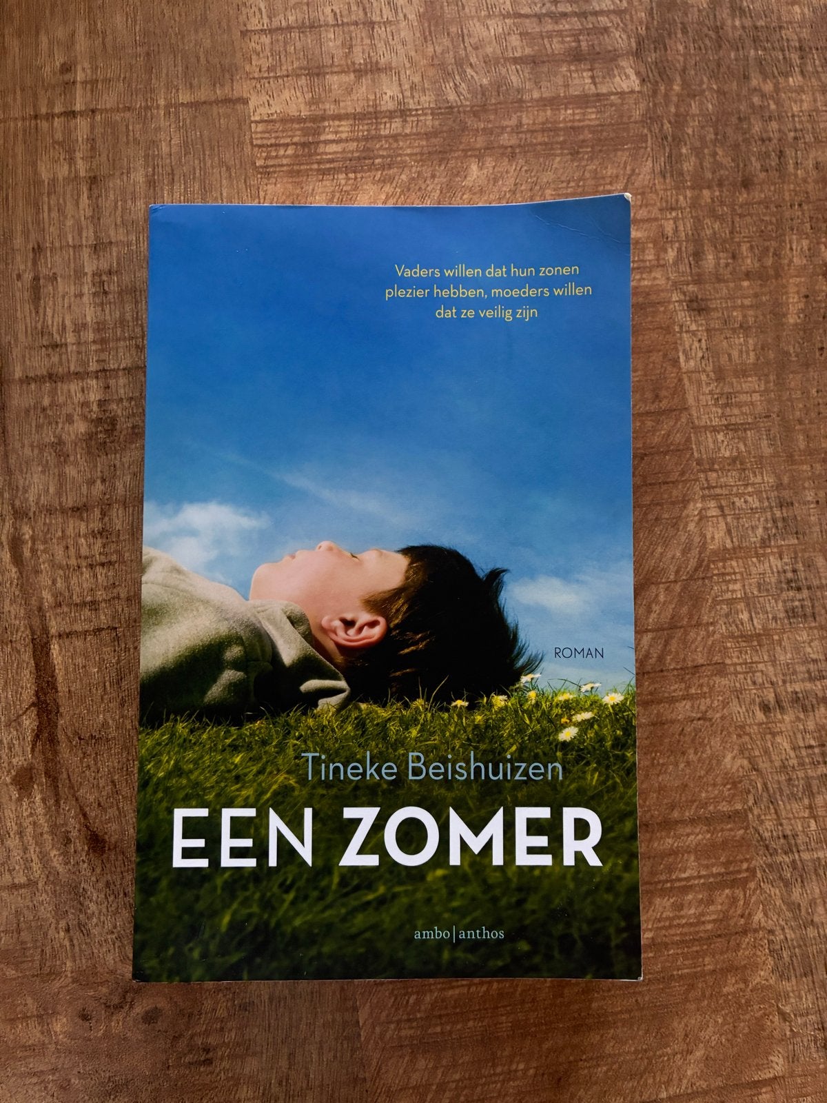Een Zomer - Tineke Beishuizen (gesigneerd), Ophalen of Verzenden, Zo goed als nieuw, Nederland