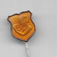 EMAILE MOEDER MET KIND SPELD BEATRIX MET ALEXANDER, Ophalen of Verzenden, Zo goed als nieuw, Overige onderwerpen, Speldje of Pin