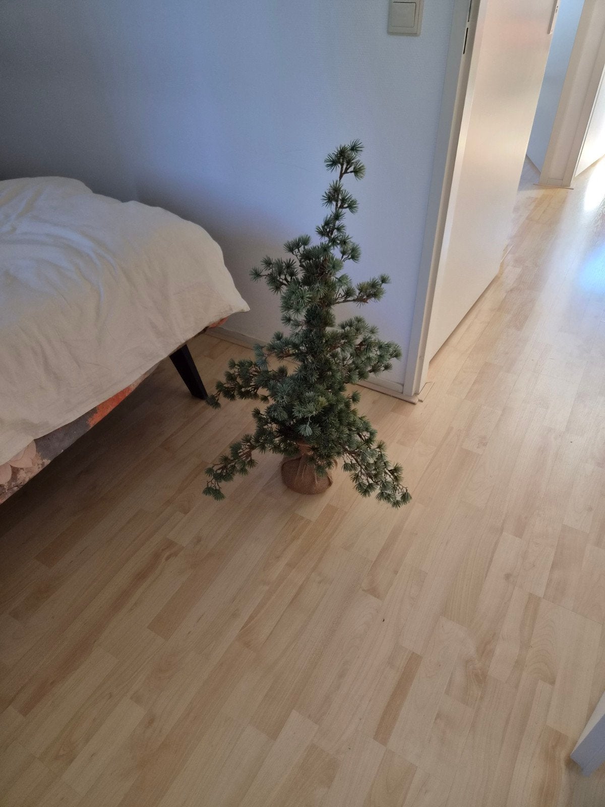 kunst boom, Ophalen