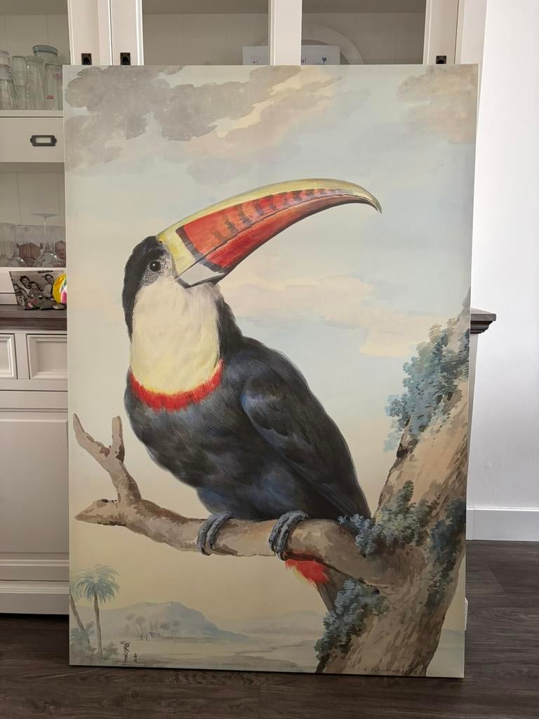 Rode Toekansnavel op canvas., Ophalen of Verzenden, Zo goed als nieuw