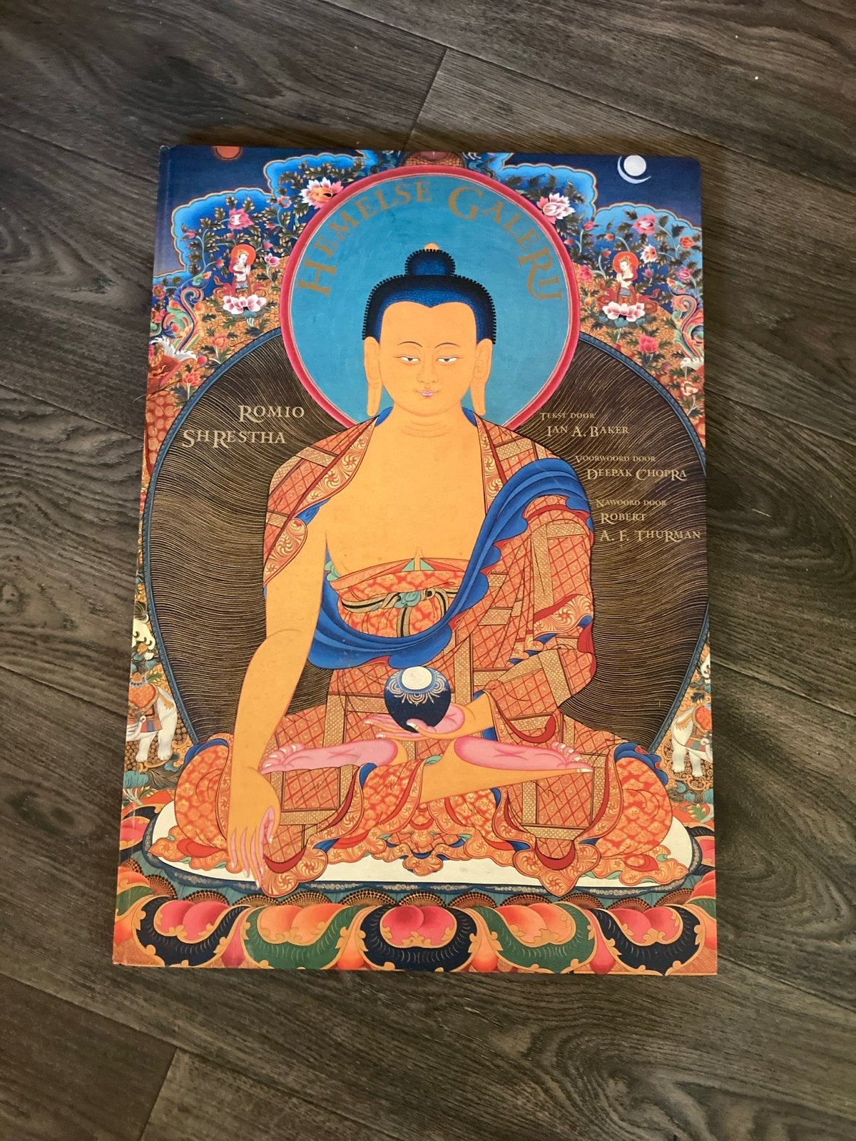 Hemelse Galerie - Romio Shrestha, Ophalen of Verzenden, Zo goed als nieuw, Spiritualiteit algemeen, Achtergrond en Informatie