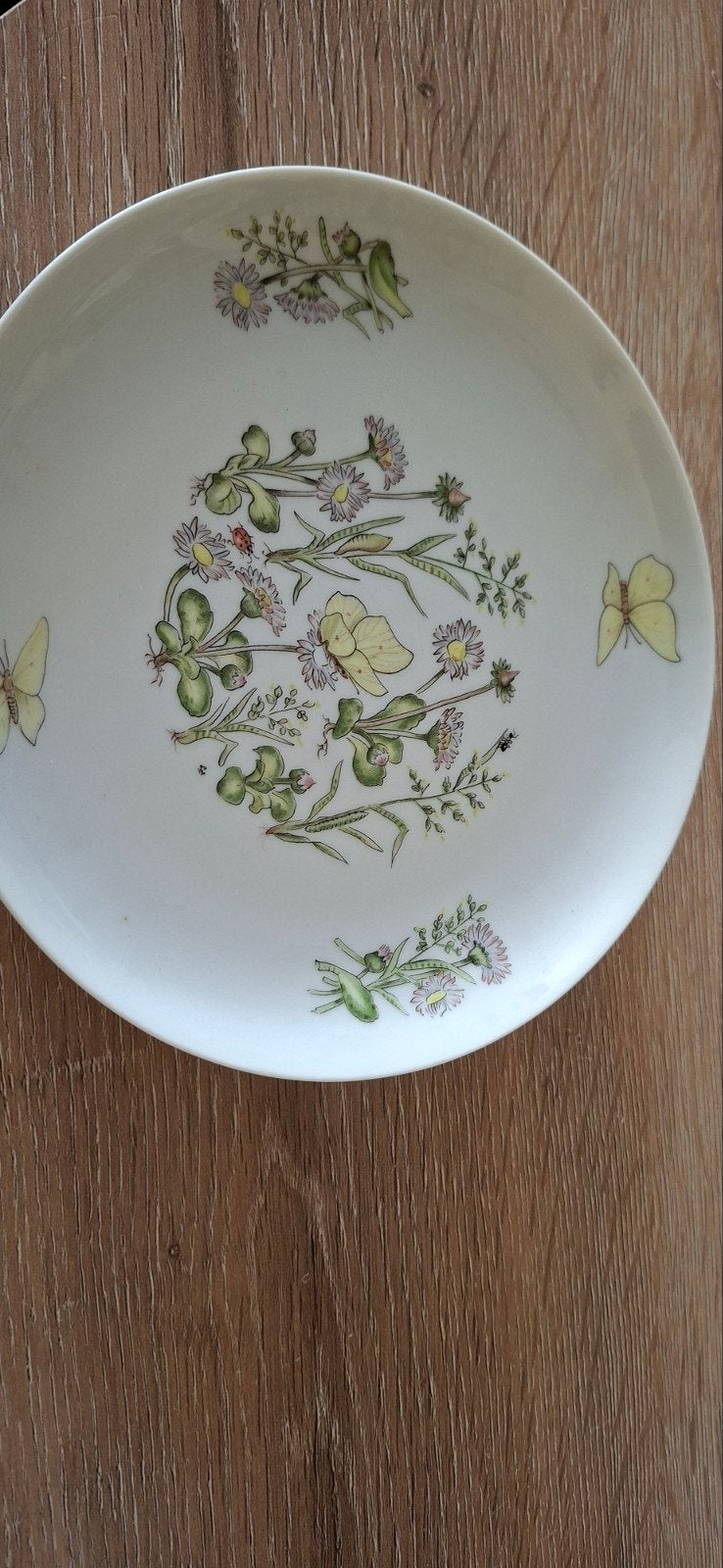 Vintage Scherzer Bavaria Bord – Nutroma Vlinderservies, Ophalen of Verzenden