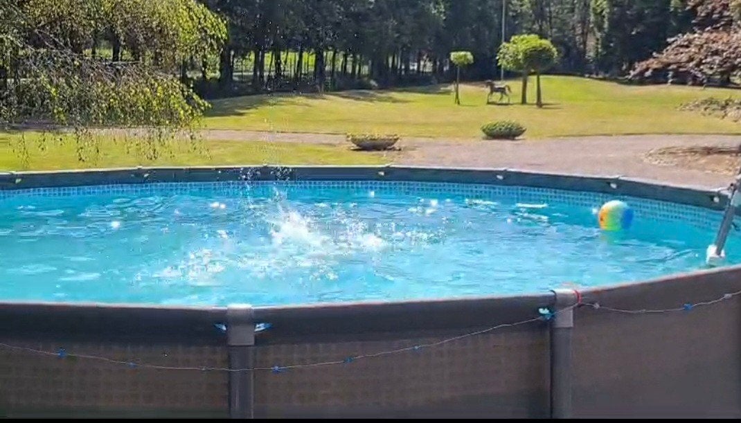 groot  zwembad met filterpomp zoutwatersystem ,, Tuin en Terras, Gebruikt, Rond, 300 cm of meer, Ophalen