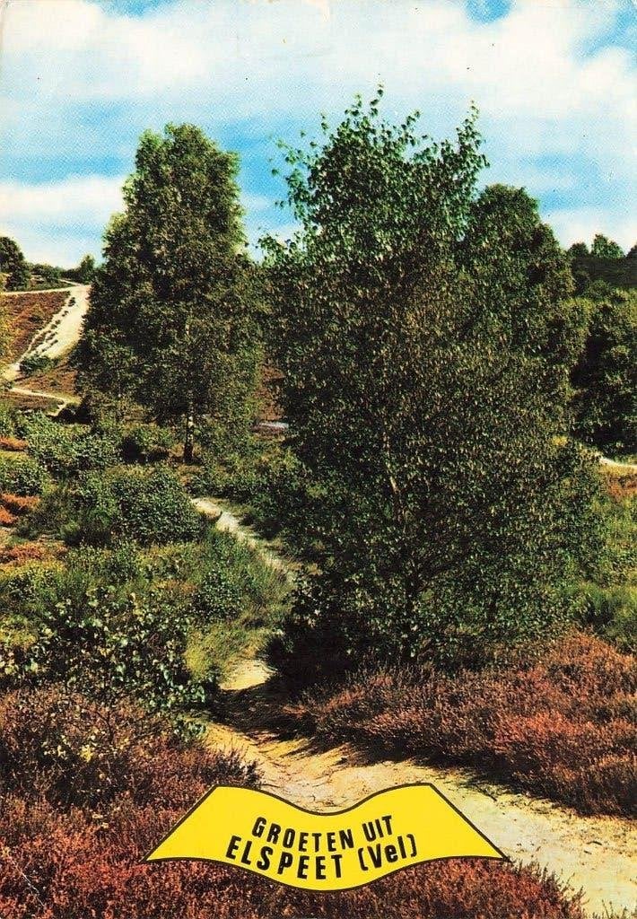 Groeten uit Elspeet, Ophalen of Verzenden, 1960 tot 1980, Gelopen, Gelderland