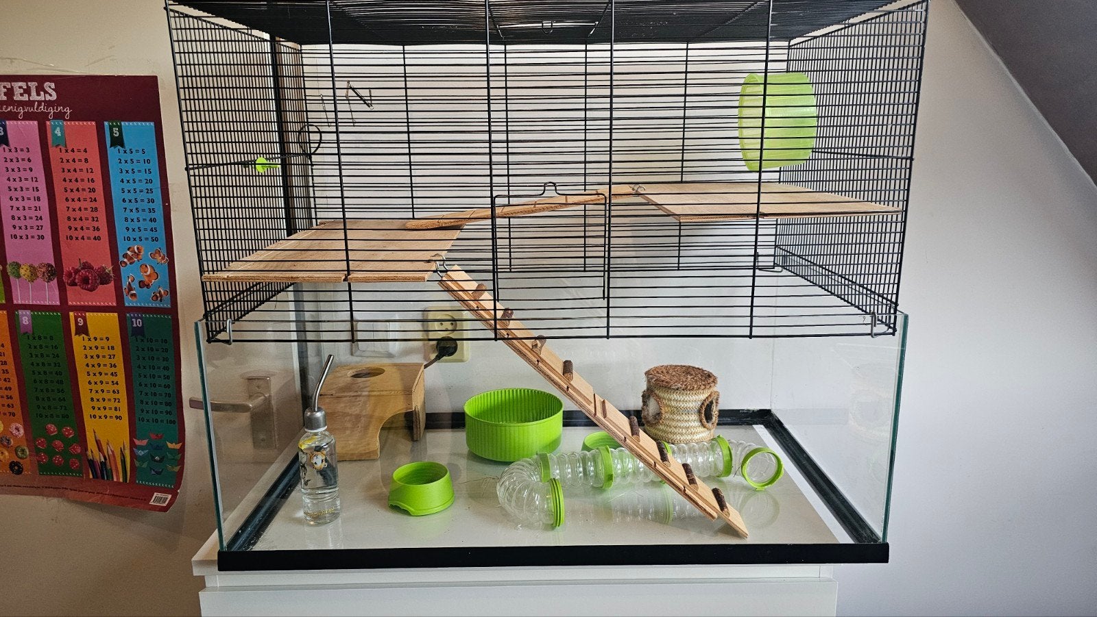 Ruime hamsterkooi met glazen bak + veel accessoires, Kooi, Zo goed als nieuw, Hamster, 75 tot 110 cm