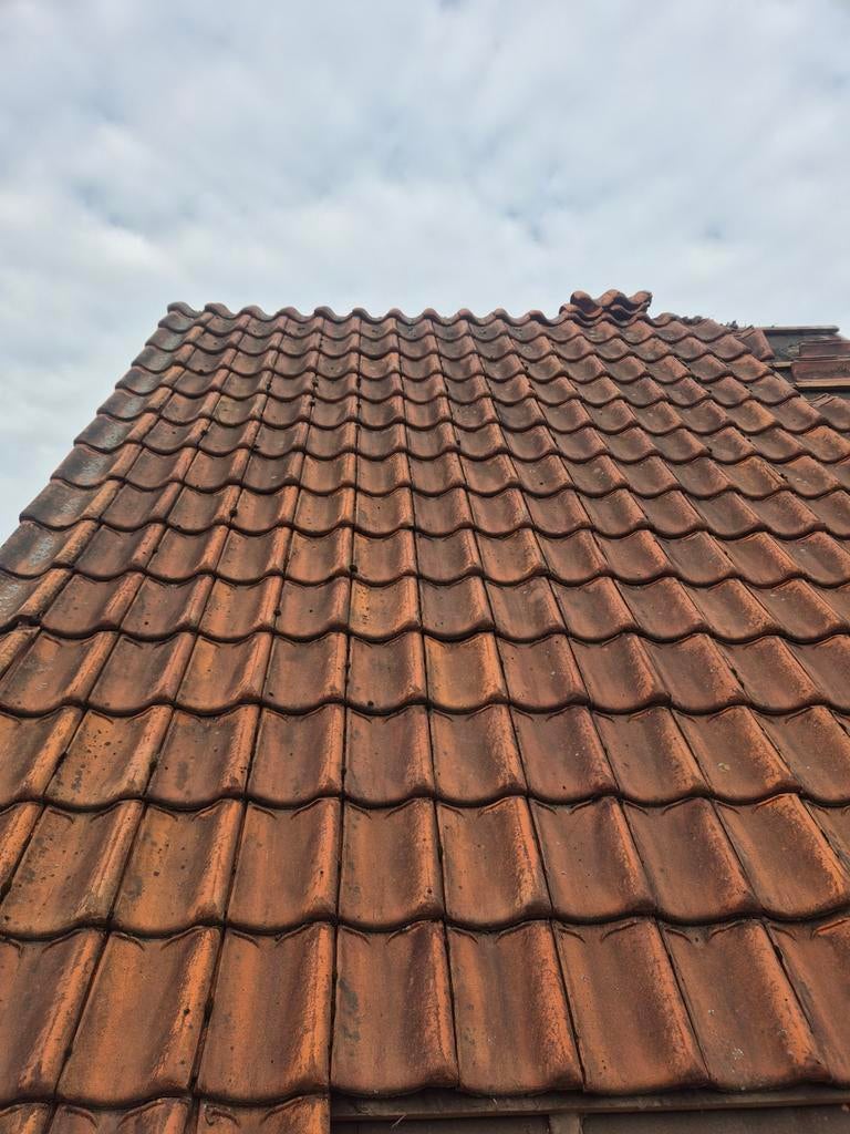 Gebruikte dakpannen - Oranje/Rood - Steen/Klei, Ophalen, Steen of Klei, Dakpannen, Rood