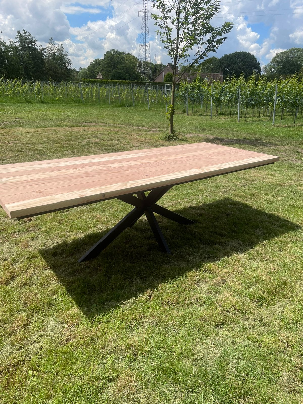 Tuintafel douglas, Ophalen, Eettafel, Nieuw, 8 zitplaatsen