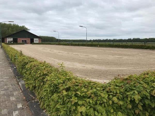 Plek vrij op gezellige privestal