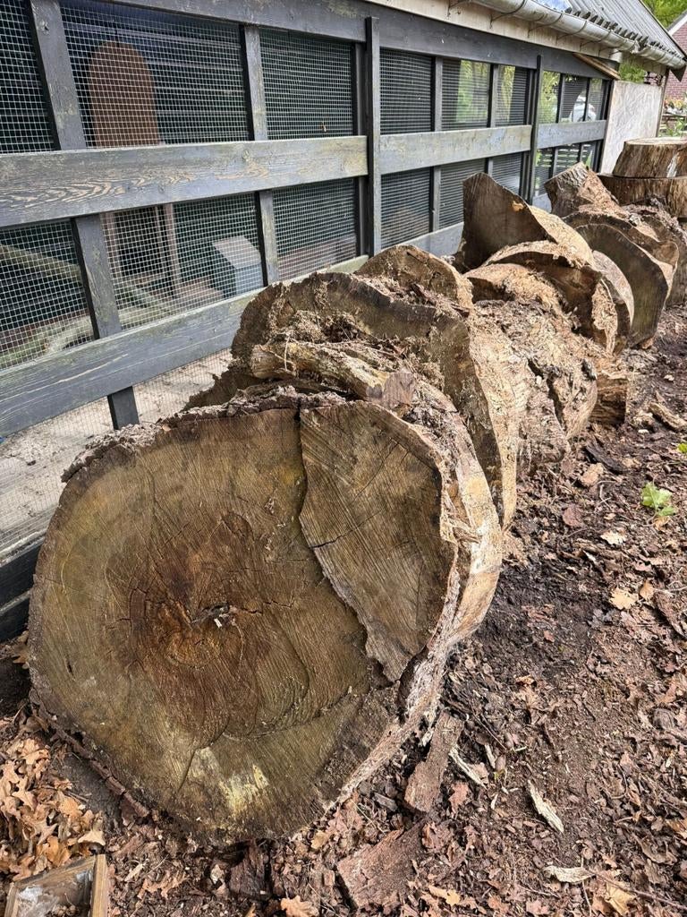 Eiken boomstam schijven - 150 jaar oud, Ø 70 cm, 25 cm dik, Doe-het-zelf en Verbouw, Hout en Planken, Ophalen