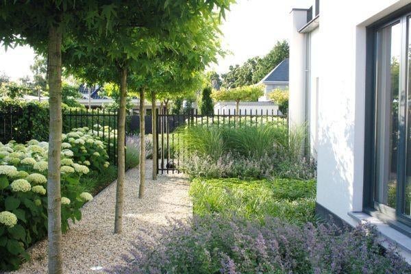 Tuinhulp beschikbaar: snoeien, maaien & algemeen onderhoud
