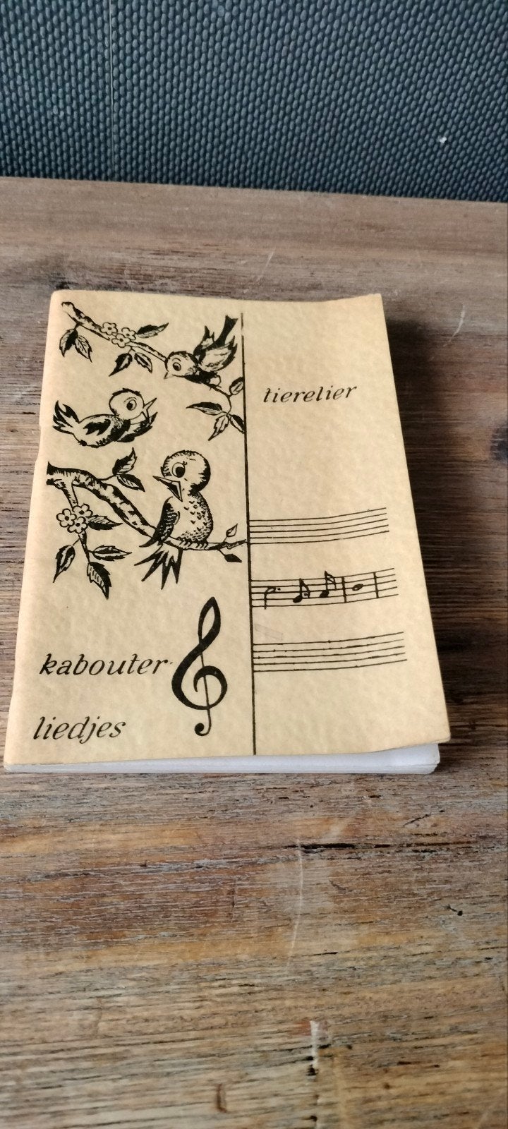 Tien tierelier kabouter liedjes - Vintage kinderliedjesboek, Ophalen of Verzenden, Gelezen