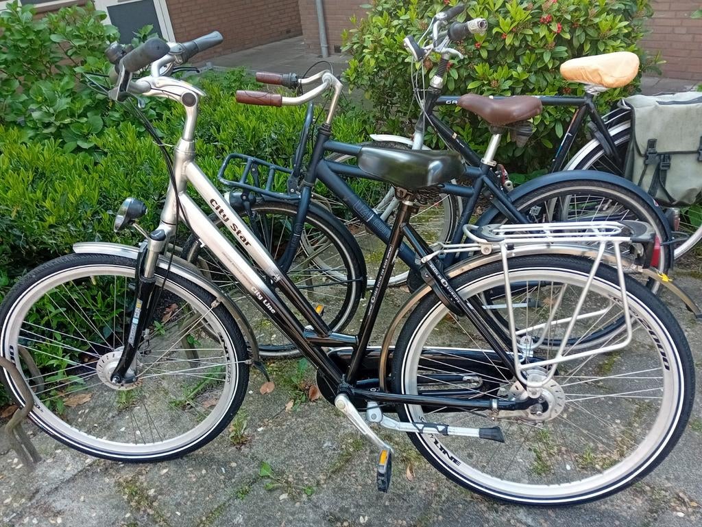 Fiets Zilver en in perfecte staat-City Star en s Liner-, Fietsen en Brommers, Ophalen of Verzenden, Zo goed als nieuw, Overige merken