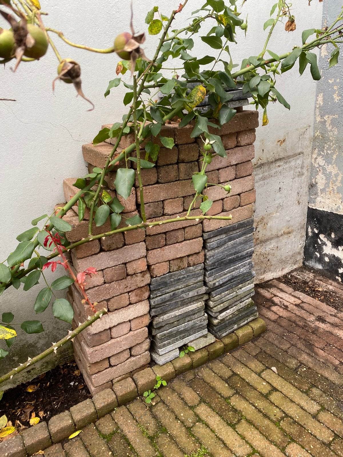 Straat klinkers, Ophalen, Gebruikt, Beton, Klinkers