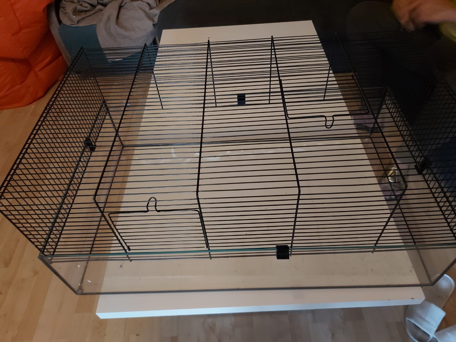 glazen knaagdier terrarium kooi dieren, Dieren en Toebehoren, Minder dan 60 cm, Kooi, Ophalen of Verzenden, Minder dan 75 cm