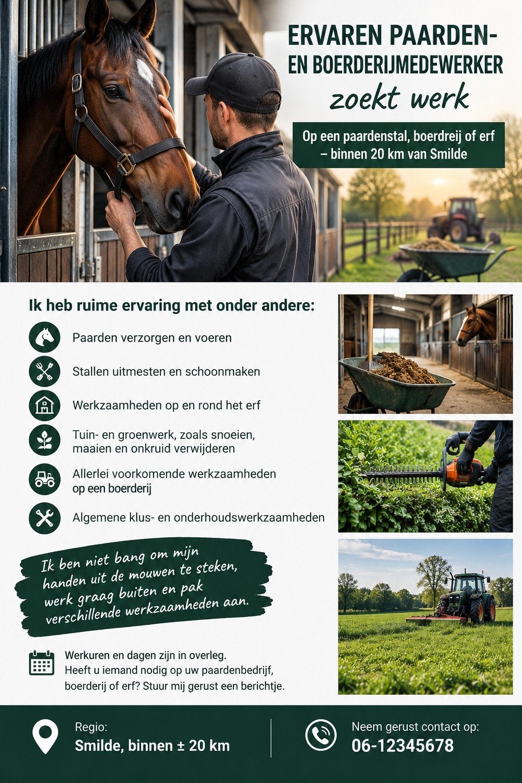 handige harrie/ klusjes man, Ophalen of Verzenden, Gebruikt