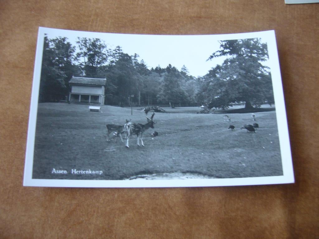 ASSEN  =  HERTENKAMP, Ophalen of Verzenden, 1940 tot 1960, Ongelopen, Drenthe