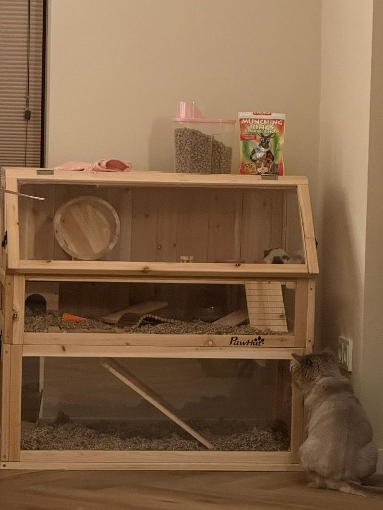 Hamsterkooi, Dieren en Toebehoren, Knaagdieren en Konijnen | Hokken en Kooien, Kooi, Muis, Zo goed als nieuw, 75 tot 110 cm
