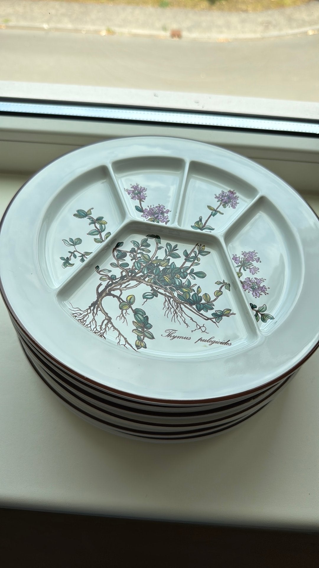 Fondue / gourmet borden Villeroy en Boch, Ophalen, Villeroy & Boch, Nieuw, Bord(en)