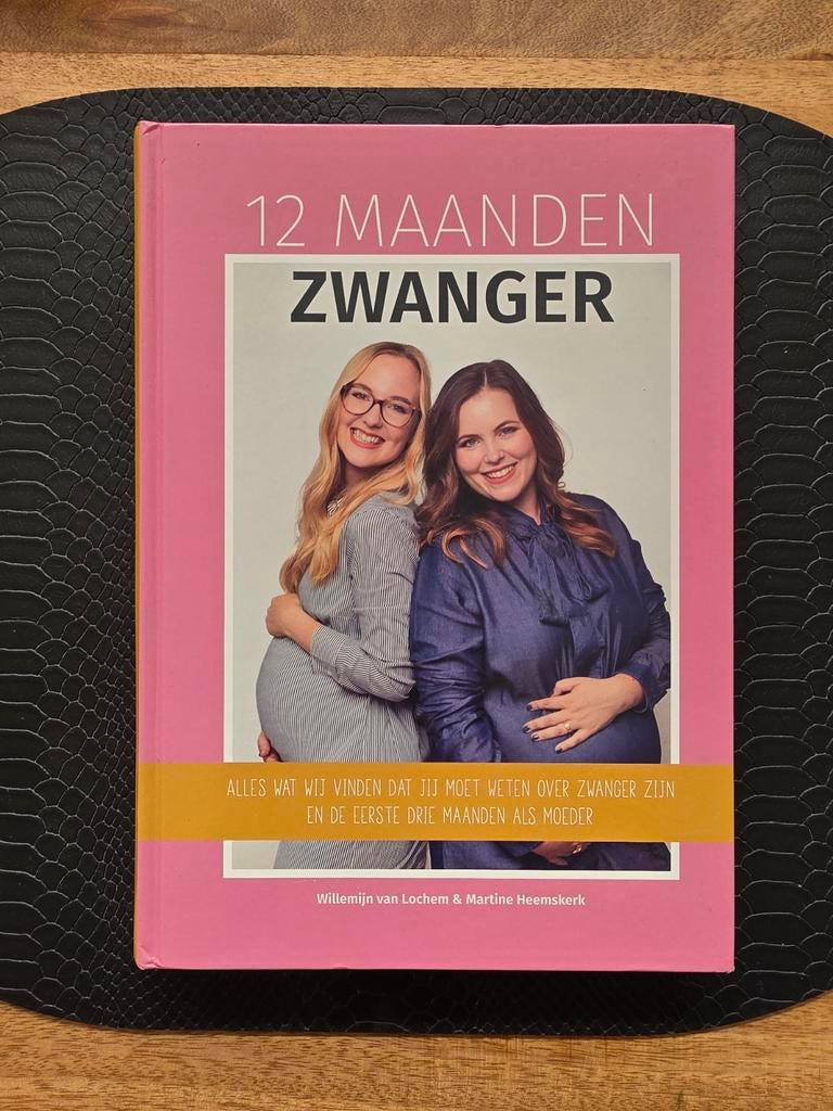12 maanden zwanger boek, Boeken, Zwangerschap en Opvoeding, Ophalen of Verzenden, Zo goed als nieuw, Zwangerschap en Bevalling