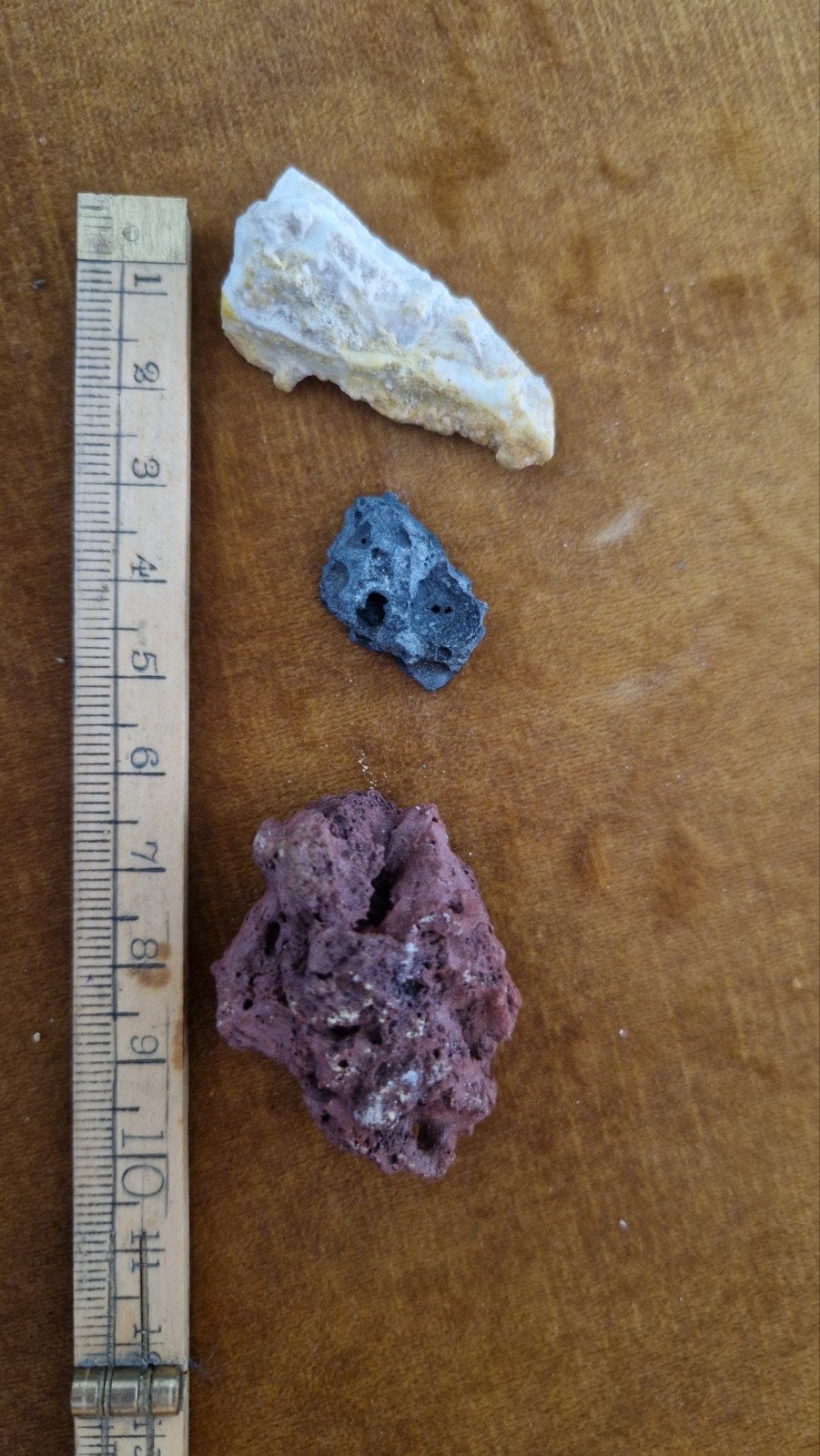 Diverse verzameling van fossielen en mineralen, Verzamelen, Mineralen en Fossielen, Ophalen of Verzenden, Fossiel