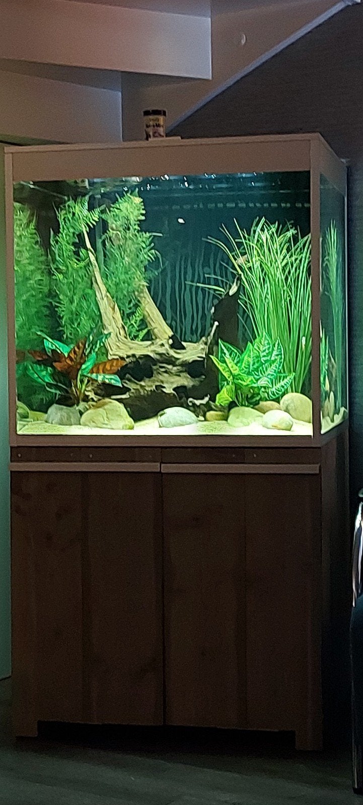 Aquarium 75x75x75, Dieren en Toebehoren, Ophalen, Zo goed als nieuw, Leeg aquarium
