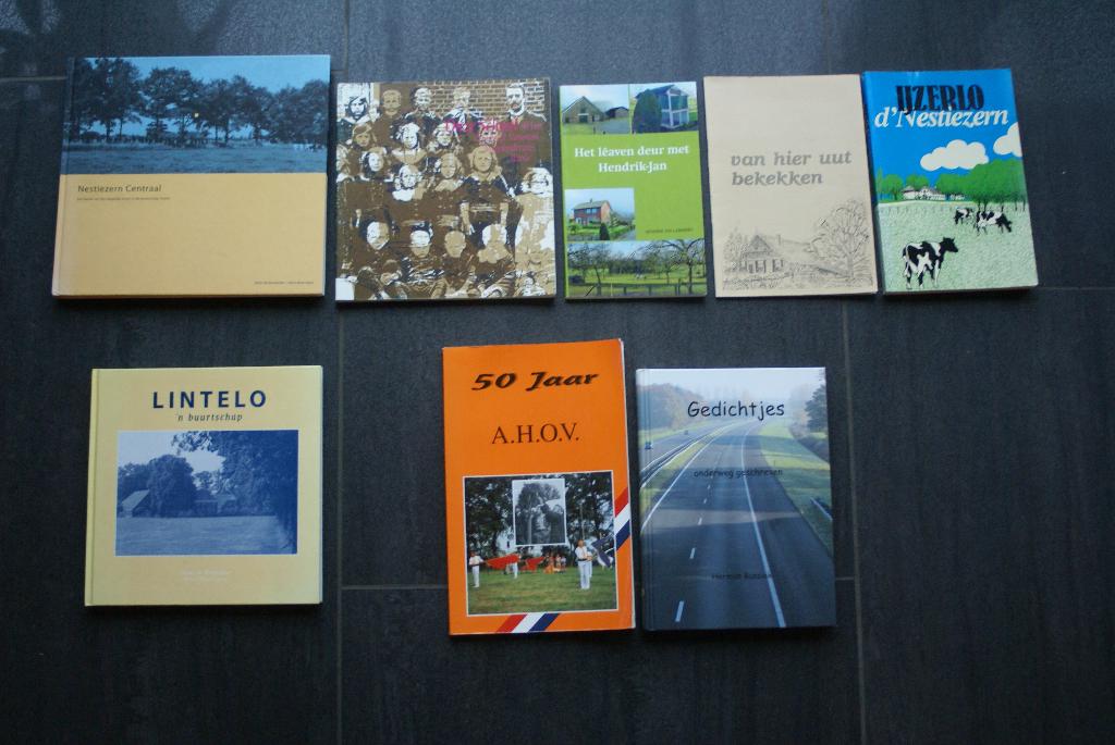 Diverse streekboeken over IJZERLO / LINTELO / DE HEURNE, Ophalen of Verzenden, Zo goed als nieuw, Gelderland