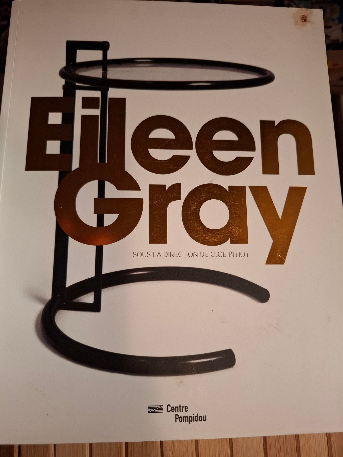Eileen Gray - Centre Pompidou tentoonstellingscatalogus, Verzenden, Zo goed als nieuw, Overige onderwerpen, Chloé Pitiot