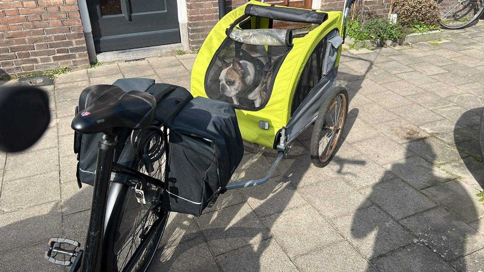 Hondenfietskar - Ideaal voor avontuurlijke honden, Ophalen, Gebruikt, 20 tot 40 kg, Hondenkar