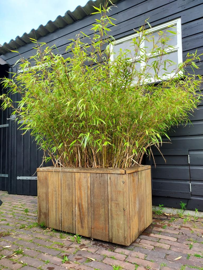 Hardhouten bloembak met bamboe, Ophalen, Rond, Hout